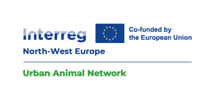Urban Animal Network
