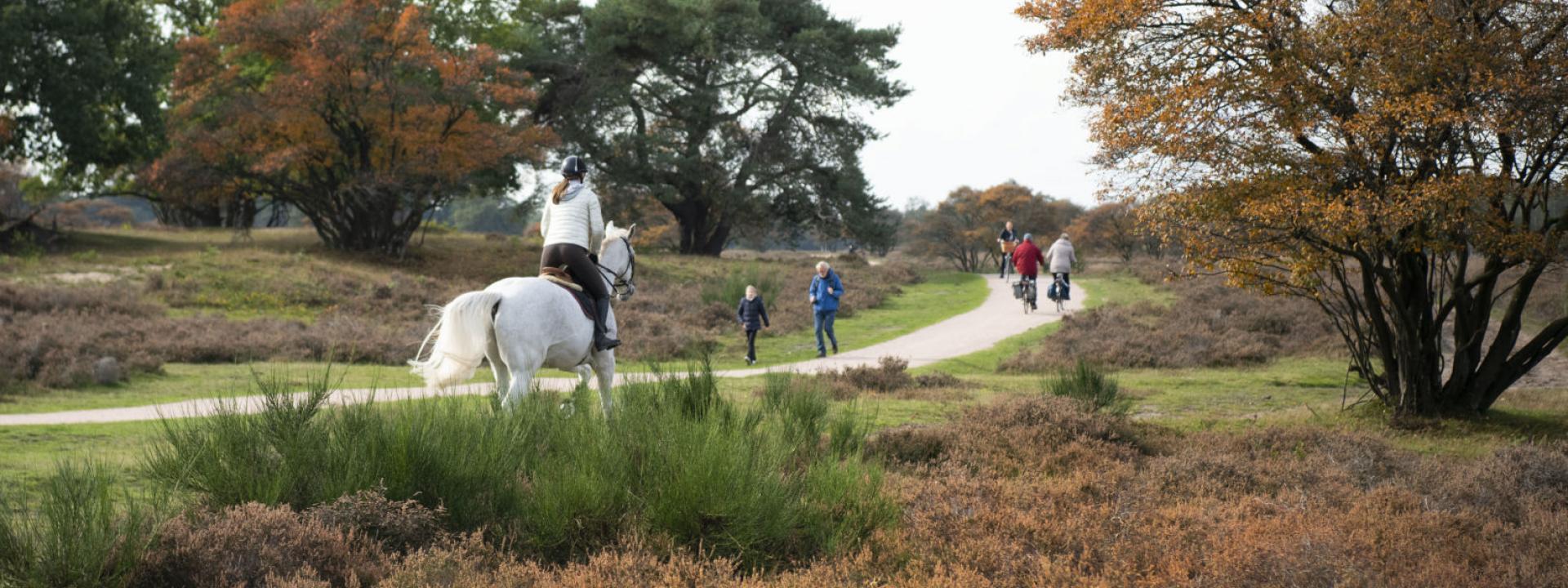 Herfst op de Zuiderheide met wandelaars en paard en ruiter 